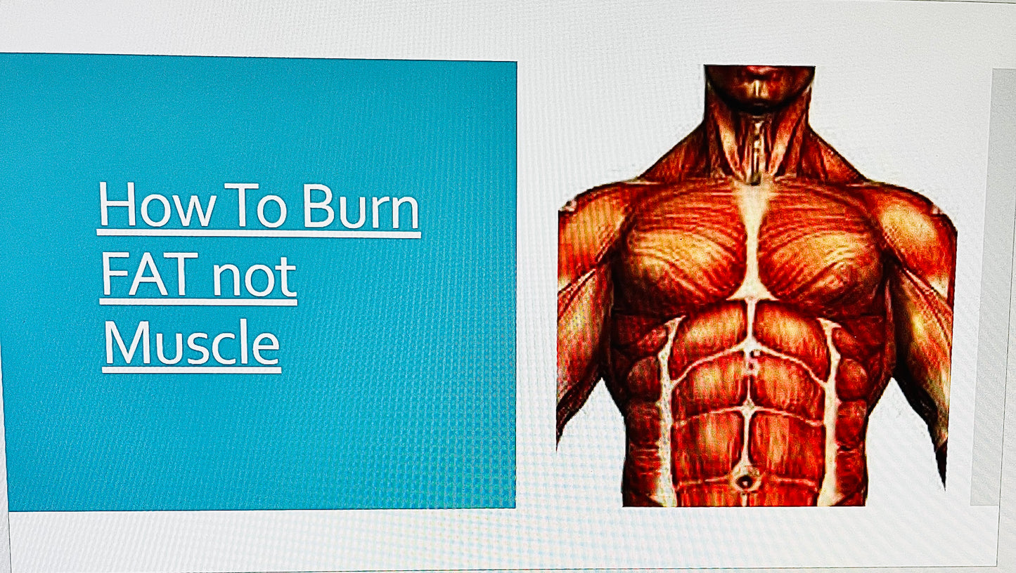 MikeMuscle MAXIMUM Fat Loss Plan - Digital Training Program