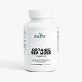 EGYIR Pure Sea Moss